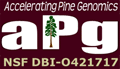 Accelerating Pine Genomics - NSF DBI-0421717